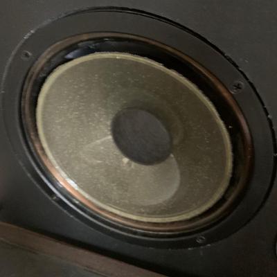 EPI T/E 100 Time/Energy Series Speakers