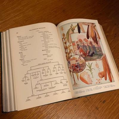 Antique Books The Standard Reference Work" Vol. 1-Vol. 10 collection