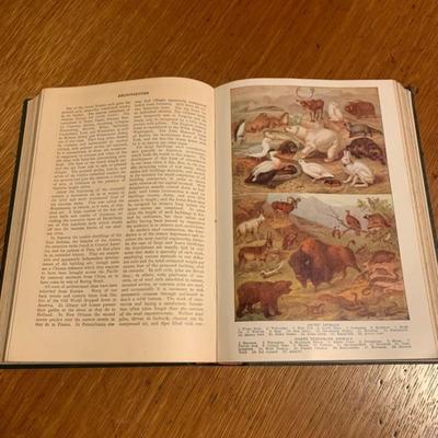 Antique Books The Standard Reference Work" Vol. 1-Vol. 10 collection