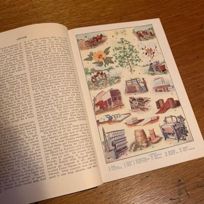 Antique Books The Standard Reference Work" Vol. 1-Vol. 10 collection