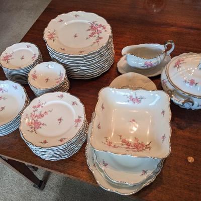 Edelstein Bavaria Maria-Theresia Madam Butterfly LARGE China set with many serving dishes (made in Germany)