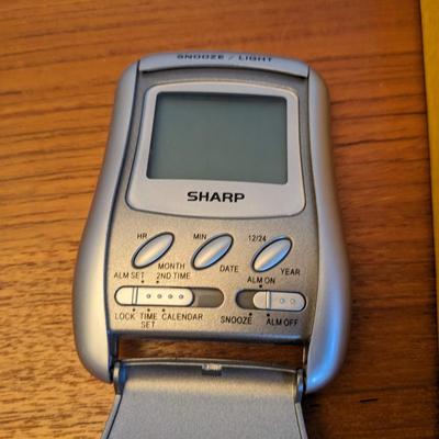 Sharp Travel alarm + LED double lens high grade magnifier for reading/identification