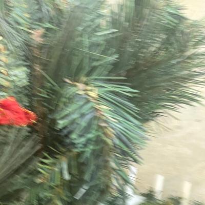 Mini Christmas Cemetery Plot Christmas Tree