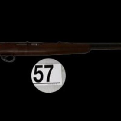 [XR] Remington Model 550-1