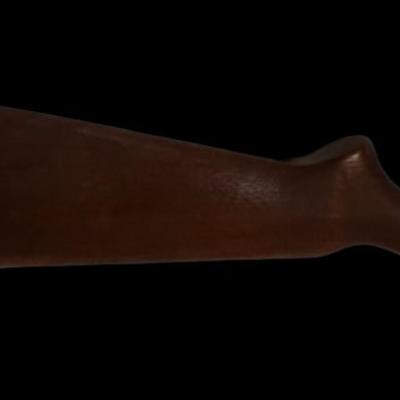 [XR] Remington Model 550-1