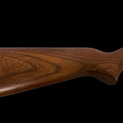 [XR] Sears & Roebuck Model 25 .22LR Rifle