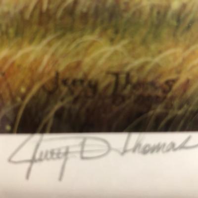 "Summer in the Heartland - Dove"