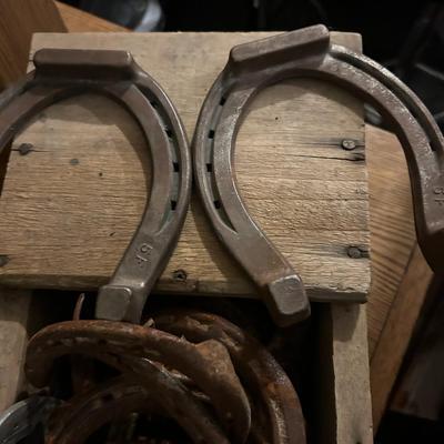 Box of Horseshoes