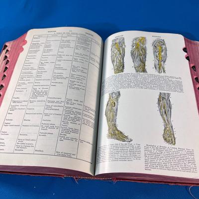 WARTIME US NAVY MEDICAL DICTIONARY with ILLUSTRATIONS