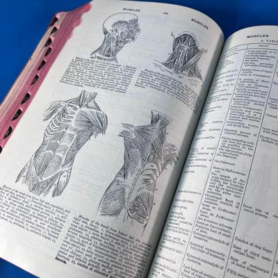 WARTIME US NAVY MEDICAL DICTIONARY with ILLUSTRATIONS