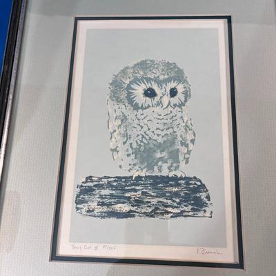 SIGNED & NUMBERED PRINT â€œYOUNG OWL IIâ€ ARTIST- P. FRENCH