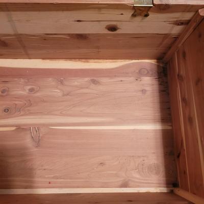 Cedar Trunk (BR1-CE)