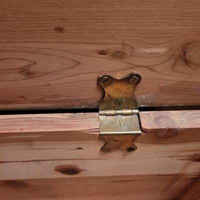Cedar Trunk (BR1-CE)