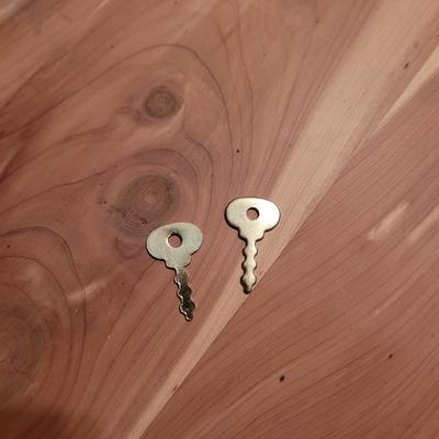 Cedar Trunk (BR1-CE)