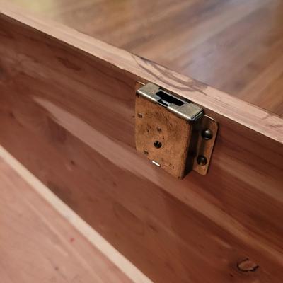 Cedar Trunk (BR1-CE)