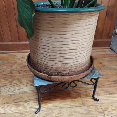 Two Large Potted House Plants in Ceramic Pots (D-BBL)