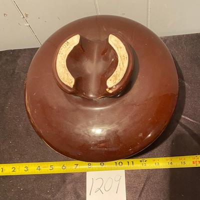 Huge Brown Insulator