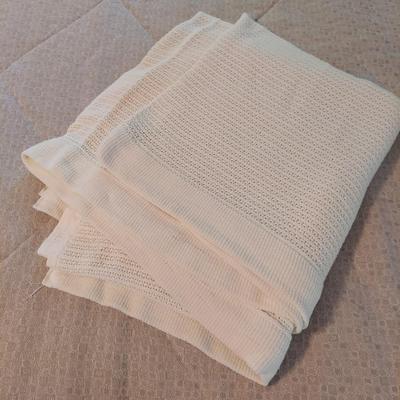 Bird Throw Pillows, Serving Tray and more (BR1-BBL)