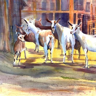575 Original Watercolor of Goats by Peggy Blades