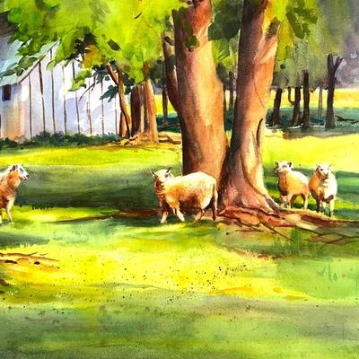 605 Original Watercolor of Sheep in Field by Peggy Blades