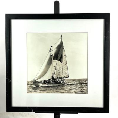 626 Large Black and White Framed Sailboat Photograph