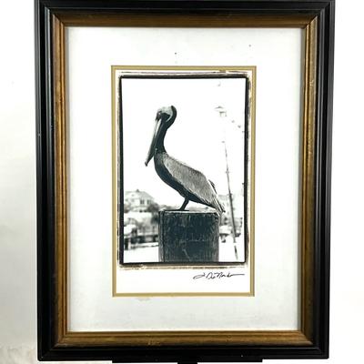627 Rosecliff Heights Pelican Perch Signed Print  by Laura DeNardo
