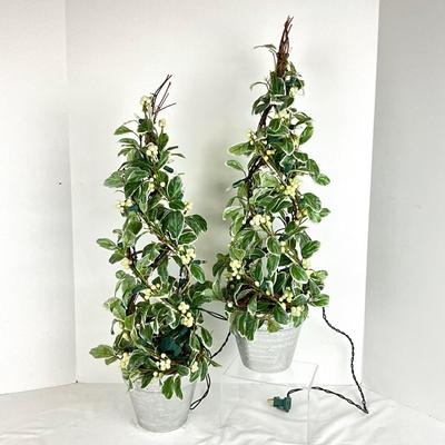 658 PAIR of Lighted Faux Variegated Green Berry Topiary Trees