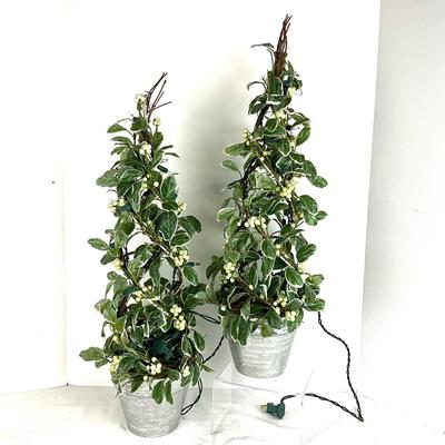 658 PAIR of Lighted Faux Variegated Green Berry Topiary Trees