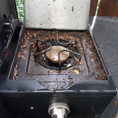 OUTDOOR PROPANE GRILL KITCHEN