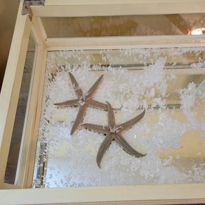 Side Table with Glass Display Cabinet (BR3-DW)