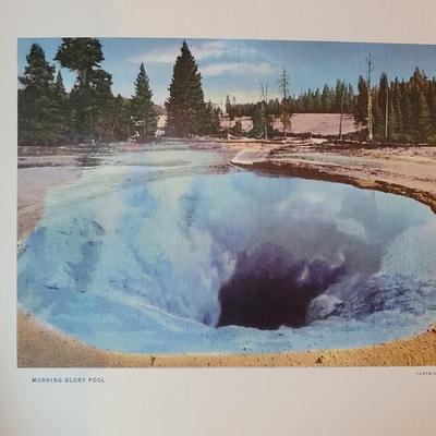 L5: Vintage Litho Book 'Treasures of Yellowstone National Park'