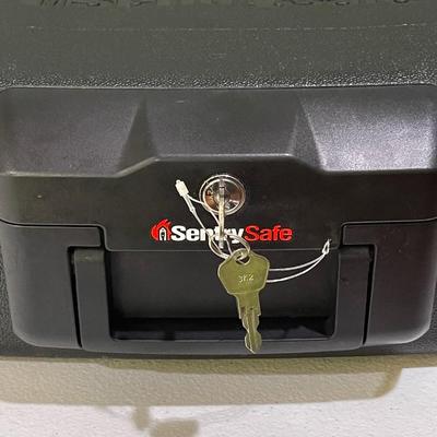 SENTRY SAFE ~ Small Fire Safe ~ New