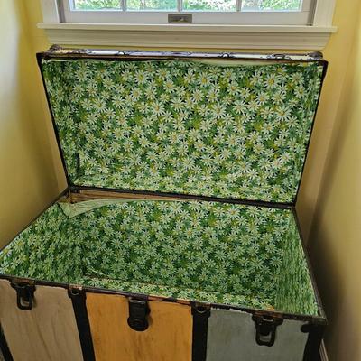 Multi Color Trunk  (BR3-JS)