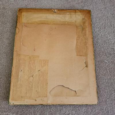 Botanical & Ornithology Prints  (BR3-JS)