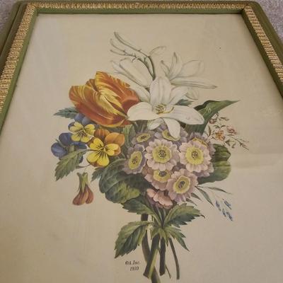 Botanical & Ornithology Prints  (BR3-JS)