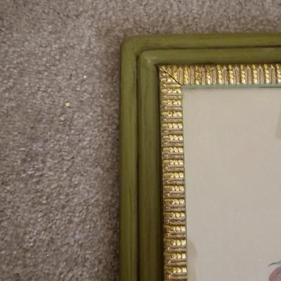 Botanical & Ornithology Prints  (BR3-JS)