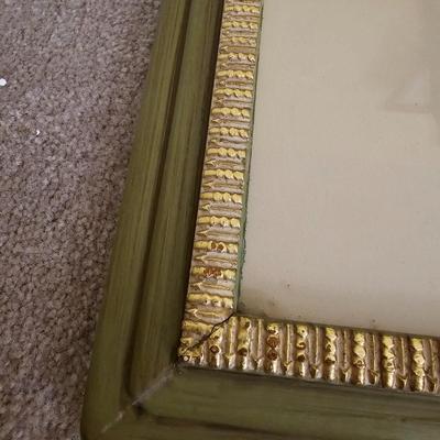 Botanical & Ornithology Prints  (BR3-JS)