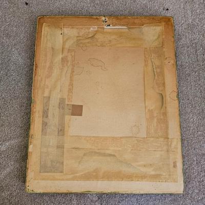 Botanical & Ornithology Prints  (BR3-JS)