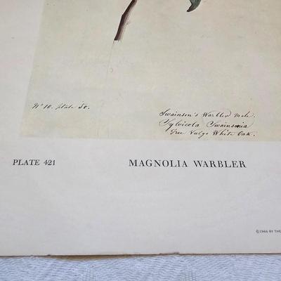 Botanical & Ornithology Prints  (BR3-JS)