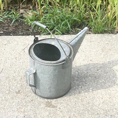 Galvanized Watering Can & Bucket