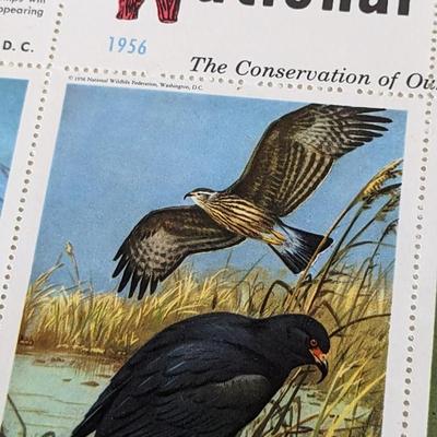 Stamp Collection