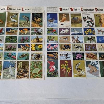 Stamp Collection