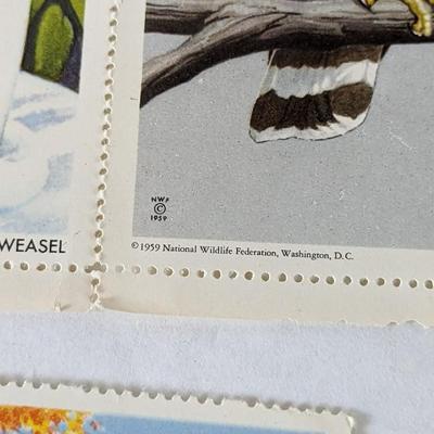 Stamp Collection
