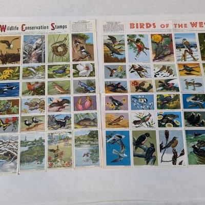 Stamp Collection