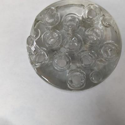 Glass Flower Frogs