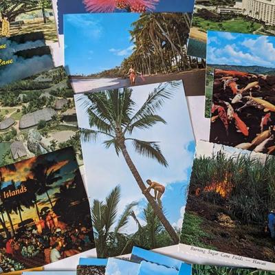 Tropical Paradise Souvenir Ephemera