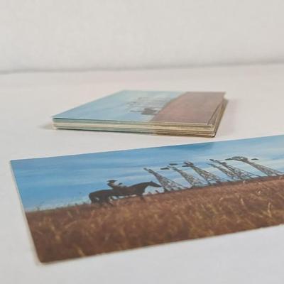 Nebraska Postcards and Ephemera