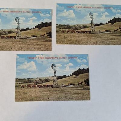Nebraska Postcards and Ephemera