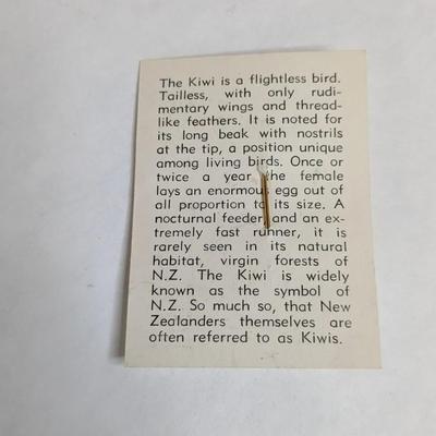 Kiwi Bird Trinkets