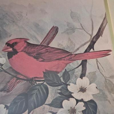 F. Massa Signed Bird Prints (UB-JS)